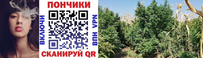 Купить закладку Монино Амфетамин  Марихуана  СК  МЕФ  ГАШИШ 